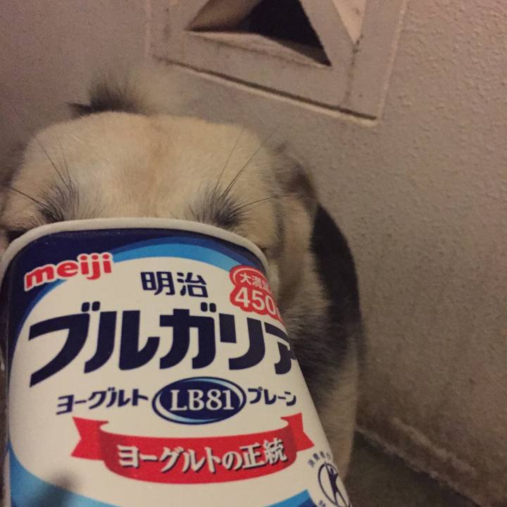 E00a3d98 18b3 41d3 b28e 412982f3b09c