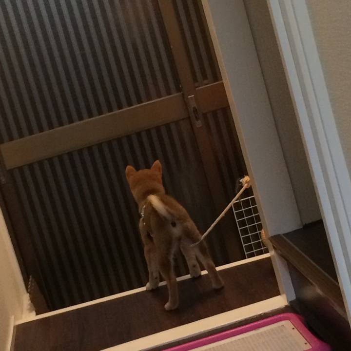 E00a65d5 944d 489b bbce 0b5ef7c1d974