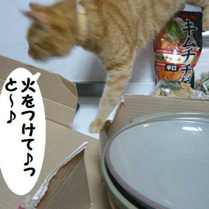 E00a7af7 dc33 4626 a8f0 bee20037a6f8