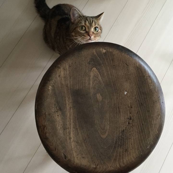 E00a7bcd b857 475f 8ba1 fd16c3b9f905