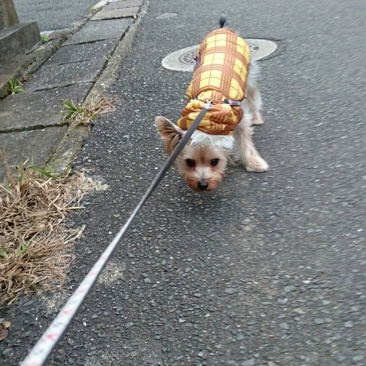 E00a8fa2 8e73 416d bde9 13cdeaadf451