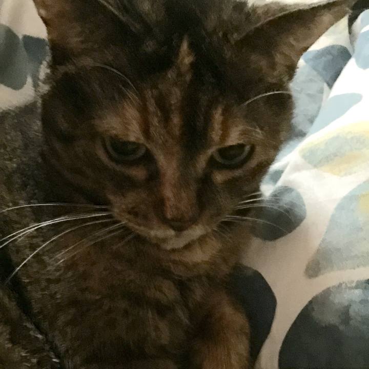 E00b146c c397 4153 9056 9bc15c109535