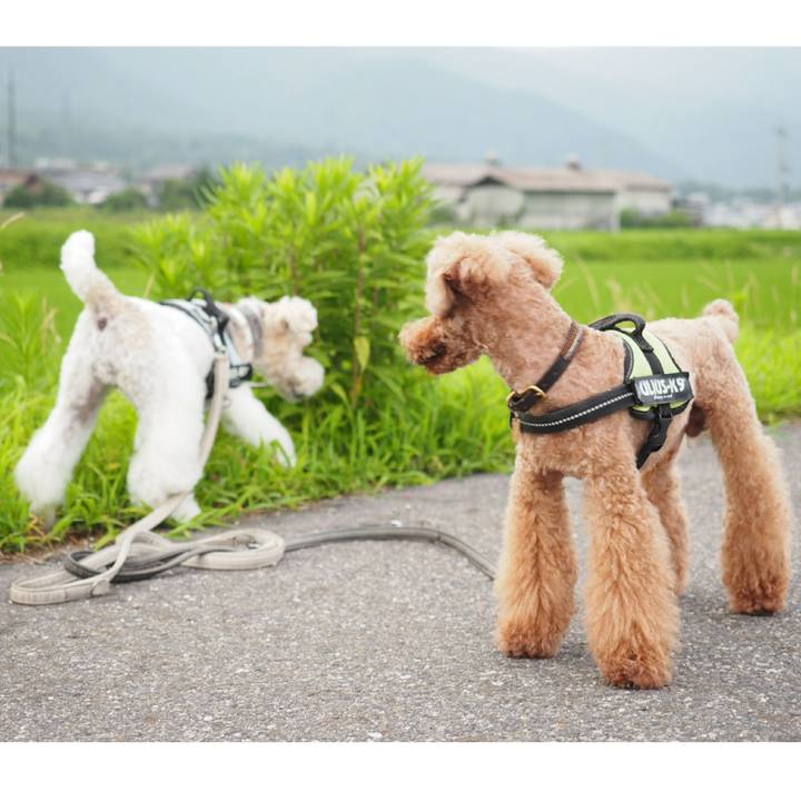 E00b3ea7 f75f 49bb 8e54 882c8f4bd847