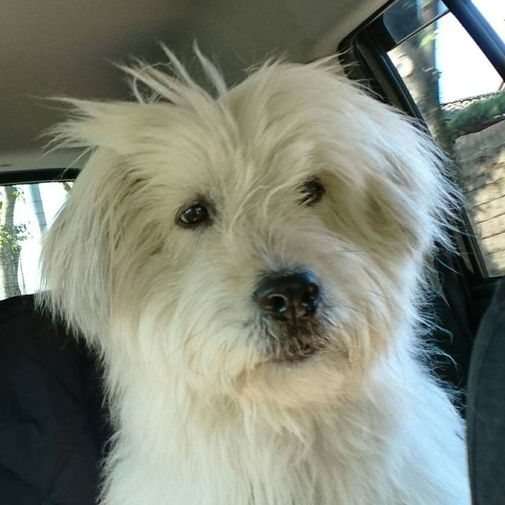 E00b6d17 597e 4a90 9364 8009425ff815