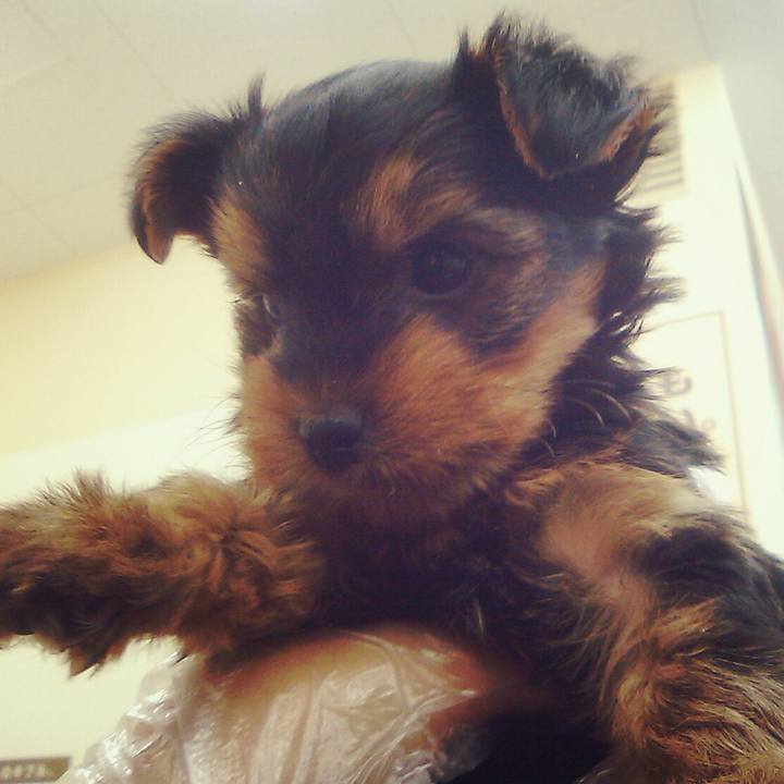 E00b8877 14a9 4d0c b266 a127055b5108