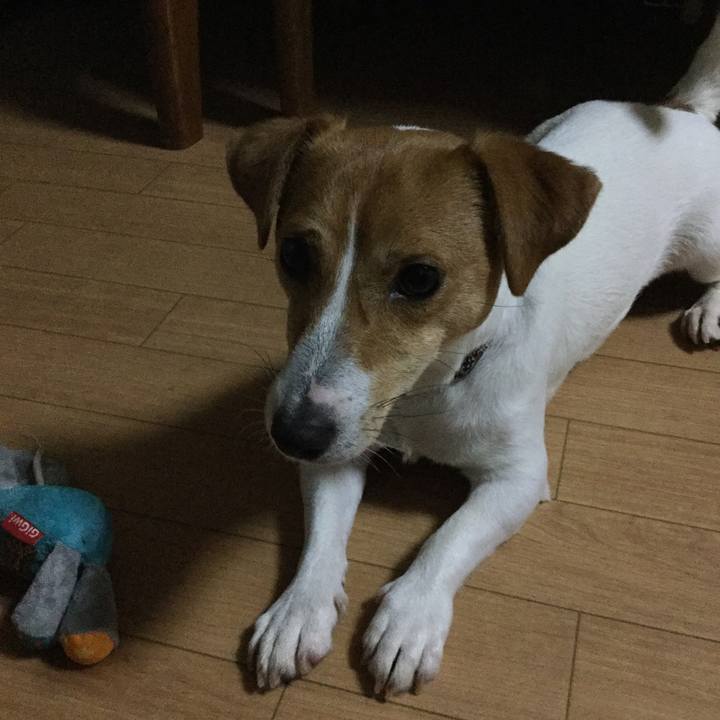 E00bb02b 763d 460d 911b 399ed0a72aab