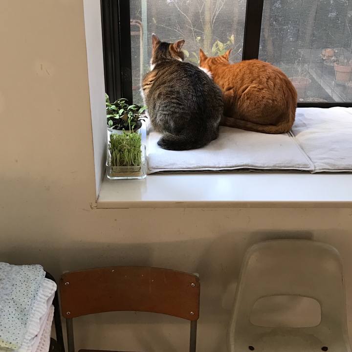 E00c75b4 e6c3 4253 adfc 37362c2f48a5