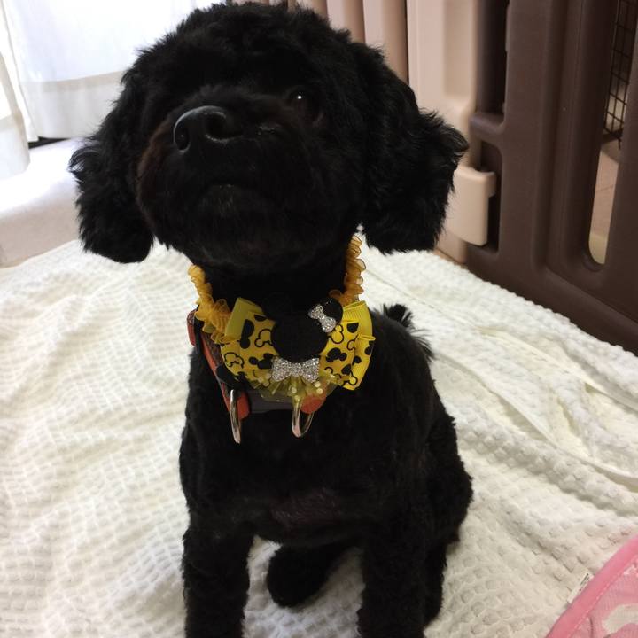 E00cc0d2 d6f5 4e63 a3f0 adac209e2e67