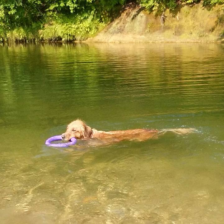 E00cdc74 6b03 4134 b733 0e5328f92a0d