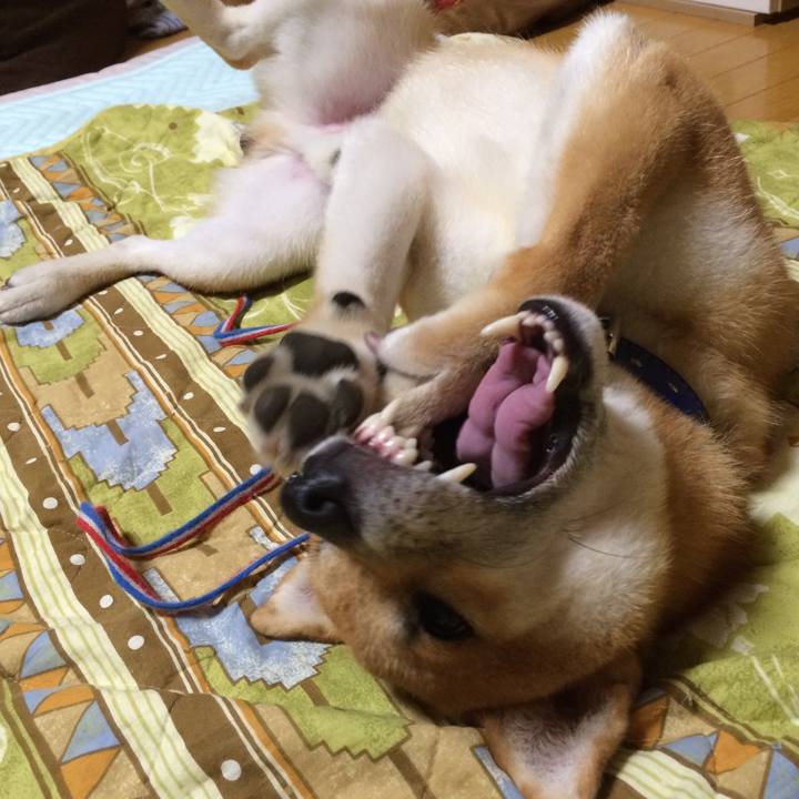 E00de6ae ad29 4a96 a239 b7a3ba763e25