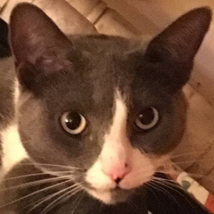 E00e2c8a a1d6 46e2 bde0 9a1f34c4bca3