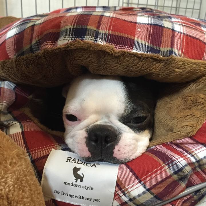 E00e637e 3ebc 49c9 8053 da8a730bf190