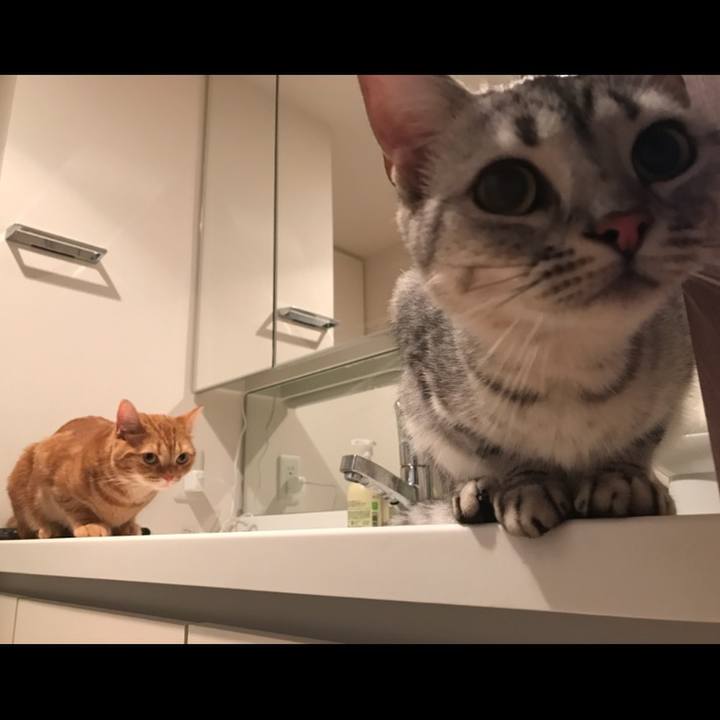 E00e7e6a fada 4ed9 aa34 e143daab2cbf