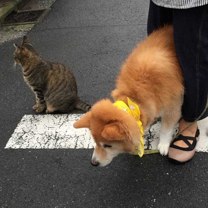 E00f0773 9029 49a0 934c 6cff7844f552