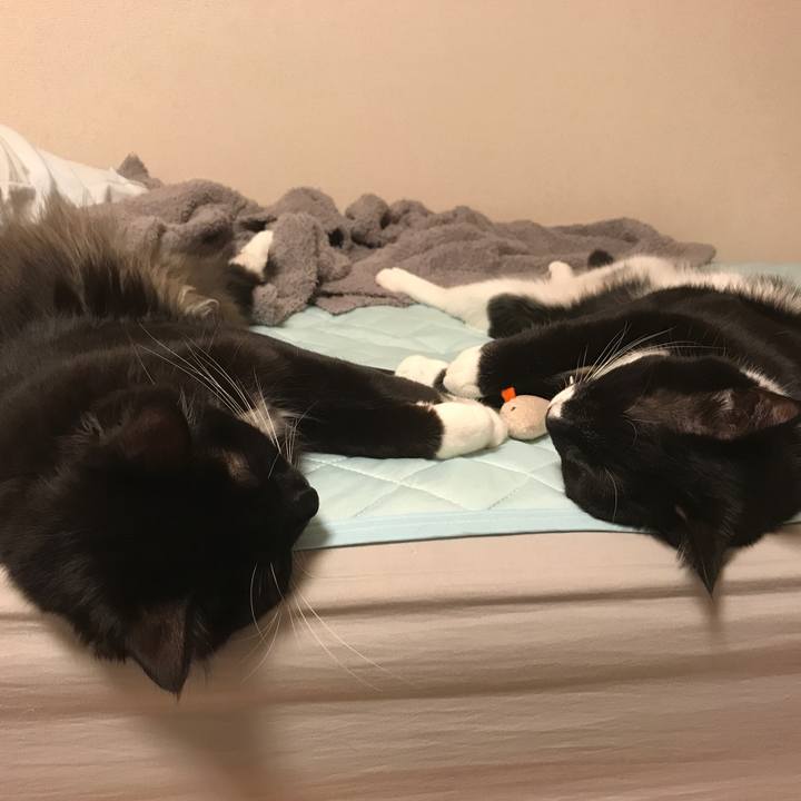 E00f1d8c 630e 40f8 80ff cd36c8ba1dfe