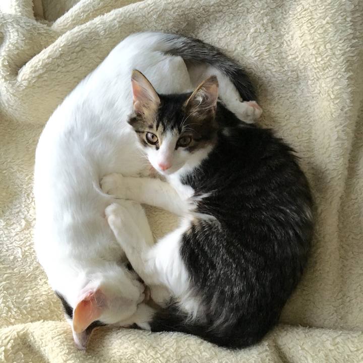 E00fffda 3dec 4ab7 9f31 11f62537a2a1