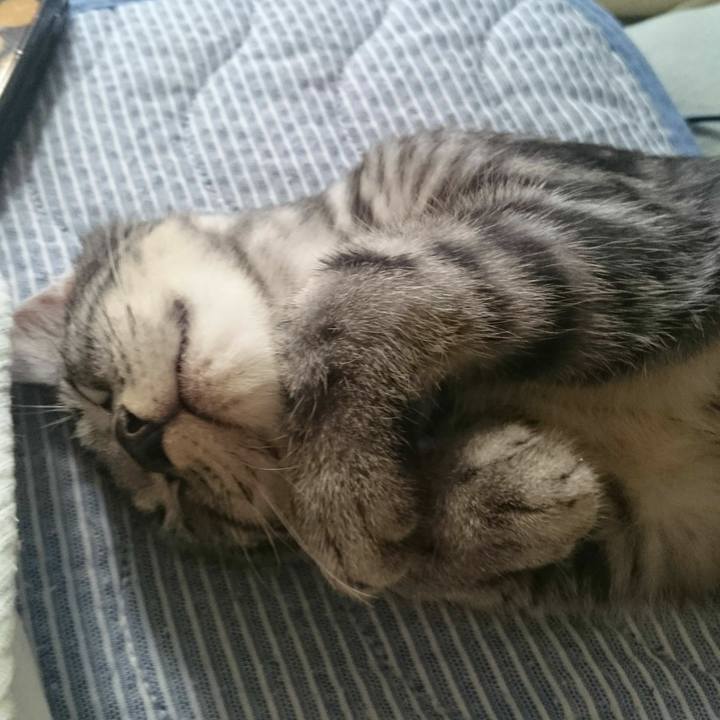 E01038c7 759c 4f4e 94f2 9f6af6af8baa