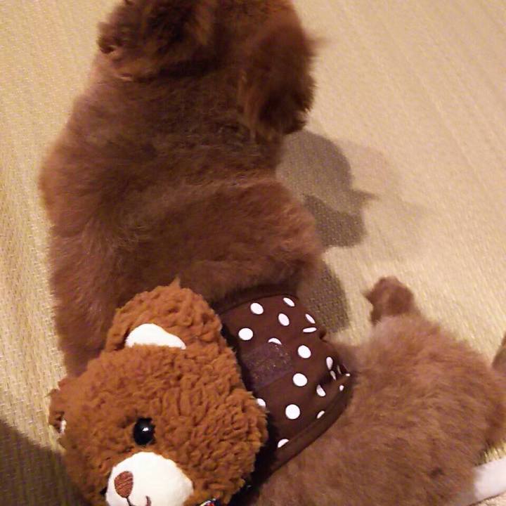 E010e472 ee1f 4e08 a6ac 182577753d8a