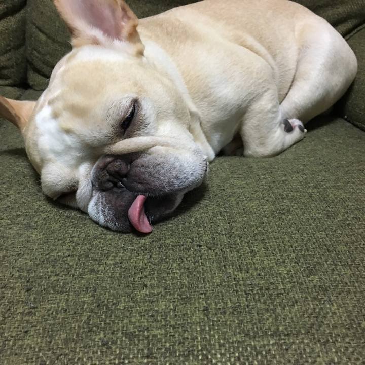 E01151bb 6fe8 4f8c bc02 e721e25012f0