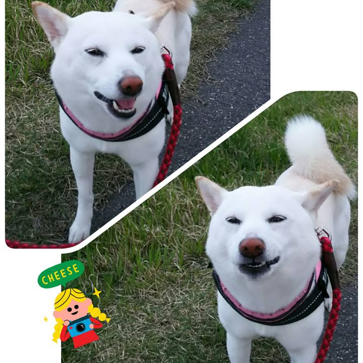 E0117de0 8da3 482f b950 60cdc61e35f3