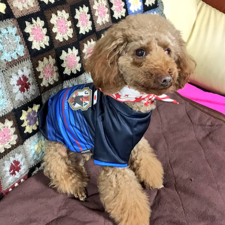 E011ea53 a9a7 4906 b7da f9f5af220edb