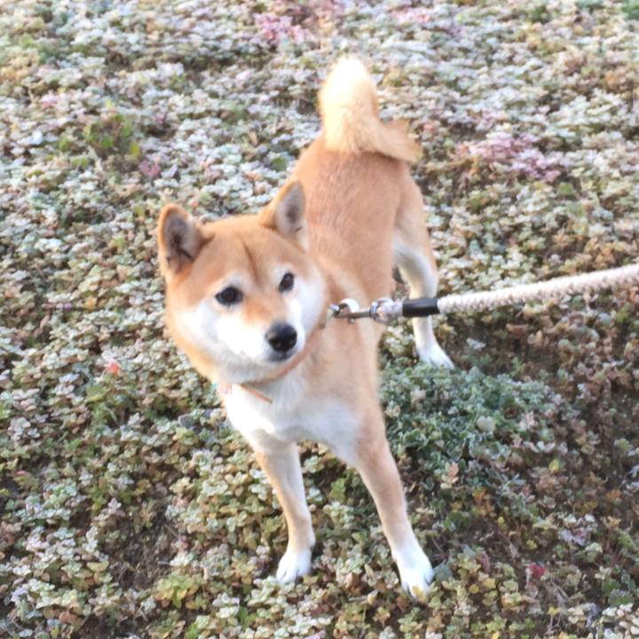 E0120f6c 7c78 49a7 9821 1d5170063fc9