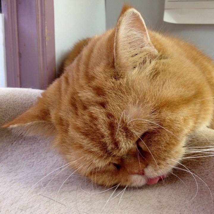 E012553b de33 42ea 89d0 42ab3c390850