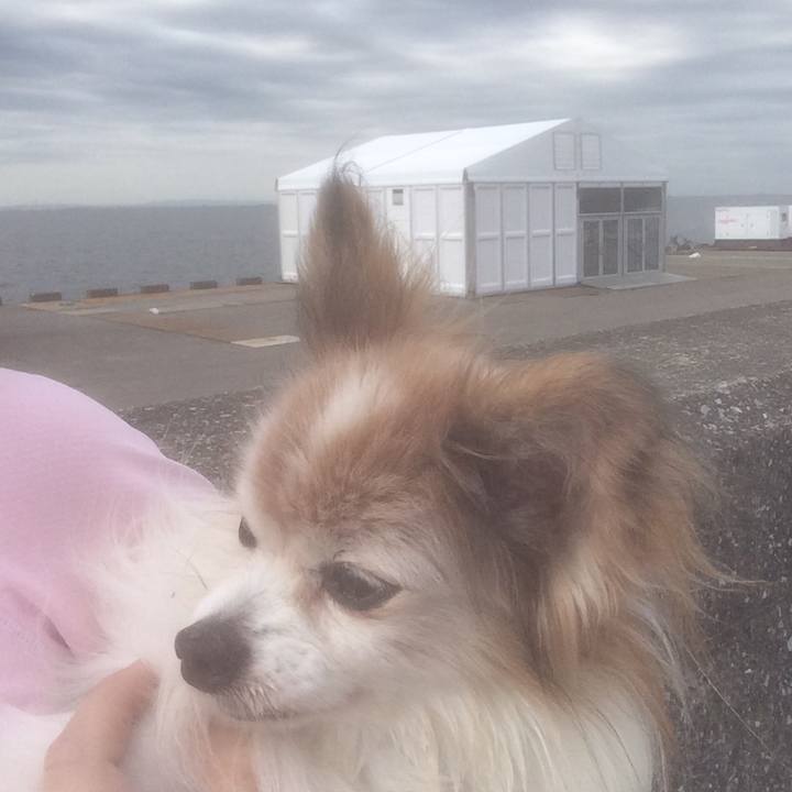 E0127acd 5c14 48e7 b8d4 34281200c6ce