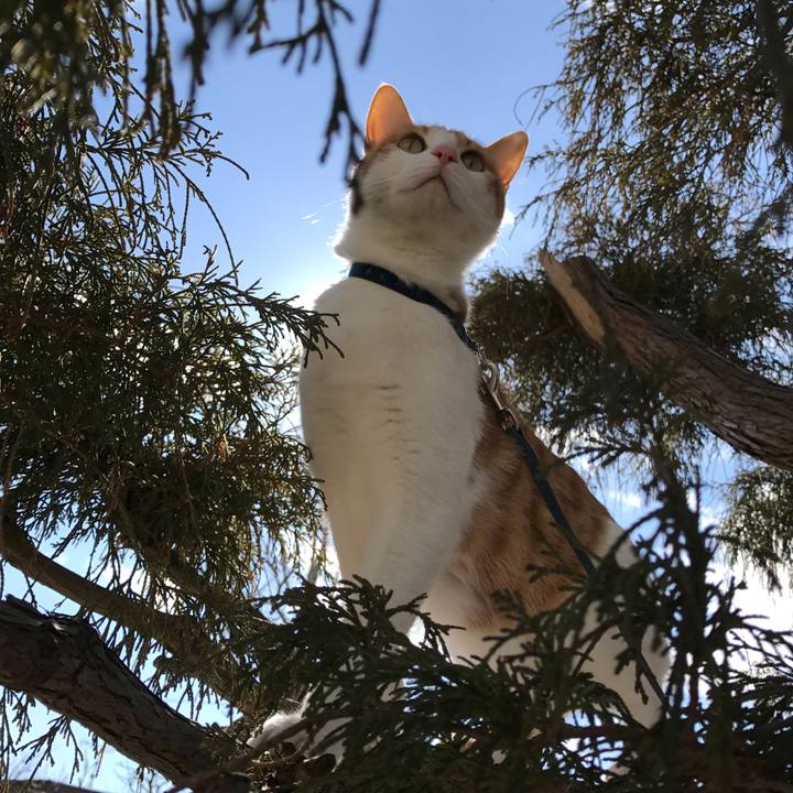 E0130489 7c63 4970 95a9 59803972c5e6