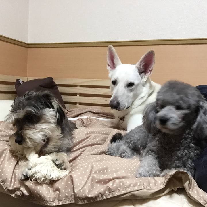 E0133899 acd7 4026 bfe9 d567c3594cfe