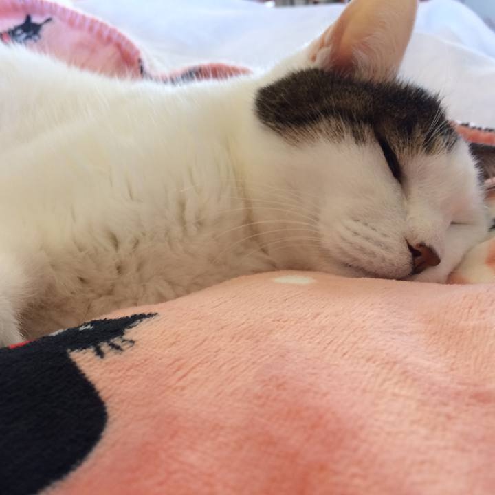 E0135cff d1d4 45d0 9697 9d081660f113