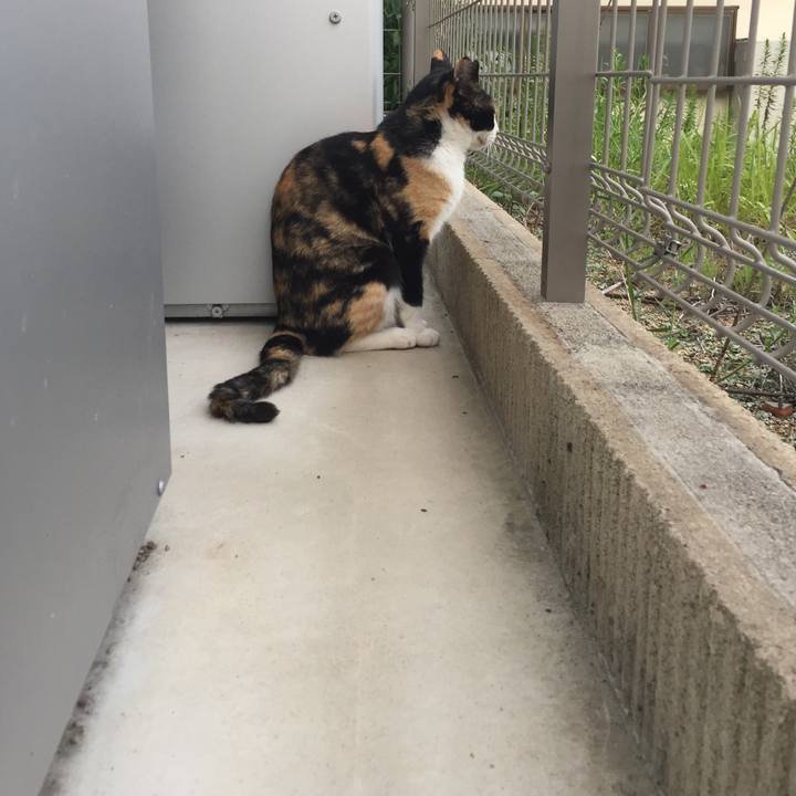 E013d8eb 49ed 4a6a 96a3 486f93a3fd55