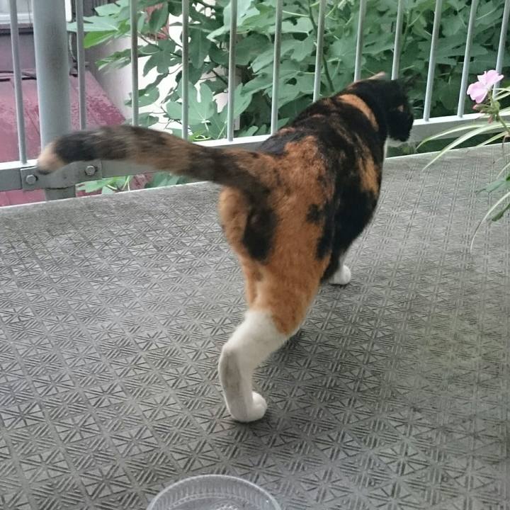 E013f35c 4d58 47cd 9143 9c3a1a2d413b