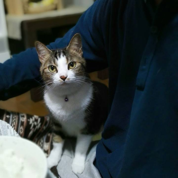 E014157f 8e55 43ba b7f0 b489ac59d1aa