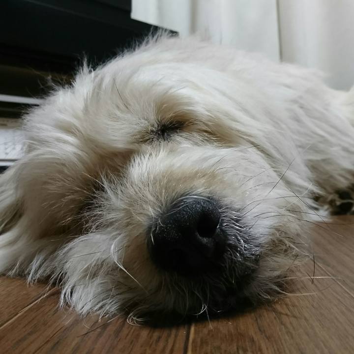 E0142ce4 a3d3 4b1a 8e8b 5da84e98d230