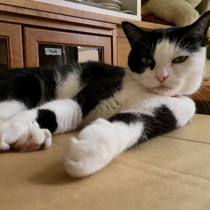 E0142e92 df13 4e38 91d0 848cc421c2b7