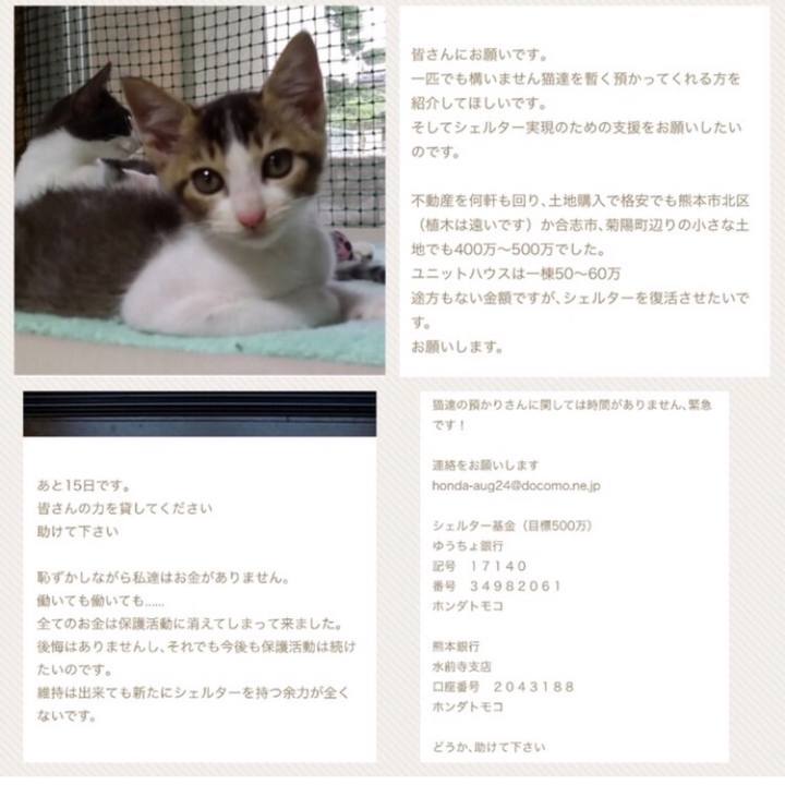 E014bb4b ee01 4be3 9855 4c163ba09009