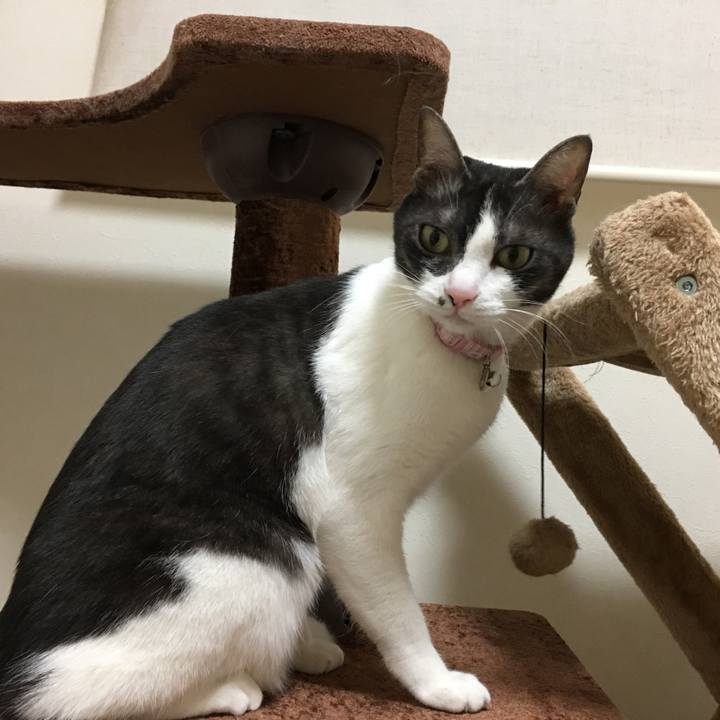 E014f4bc 049b 40ef 8dd9 be5aa931882f