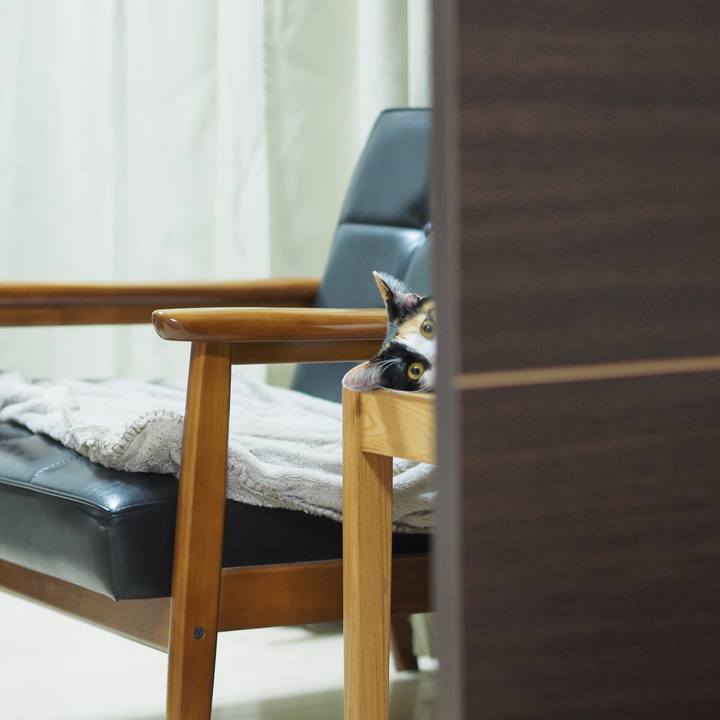 E015927a 6333 47ac a56f 635ede5828a6