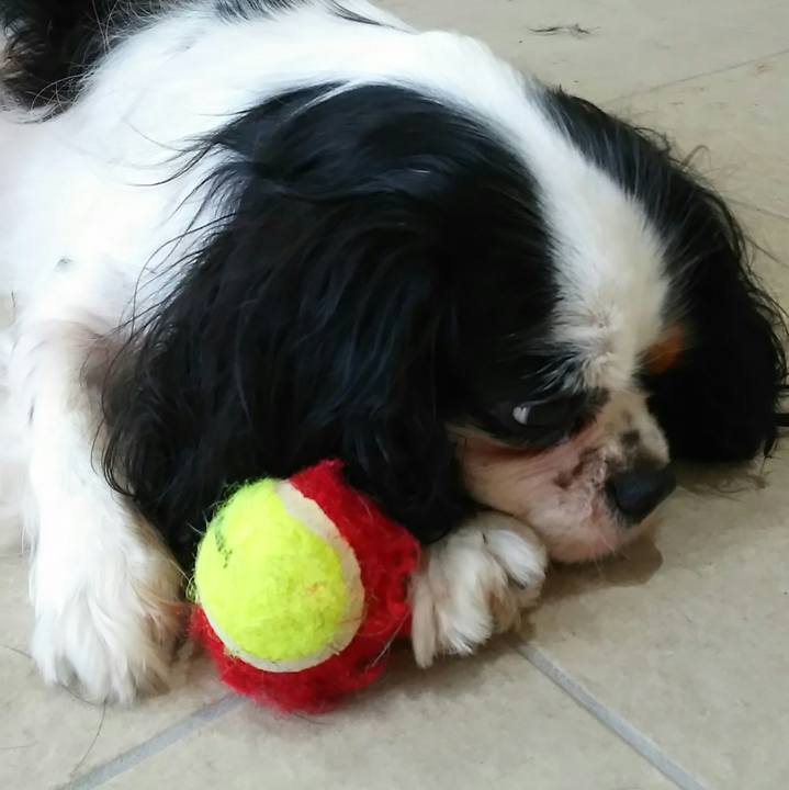 E015c548 8e22 40e3 80e2 498a84193f51