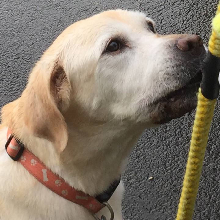 E015db89 6706 48b9 8aaf b7c324c03bd2