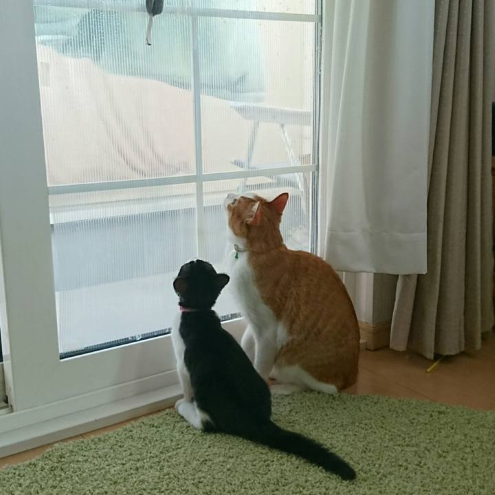 E0164aed b397 43d1 b733 29236b9bd37a