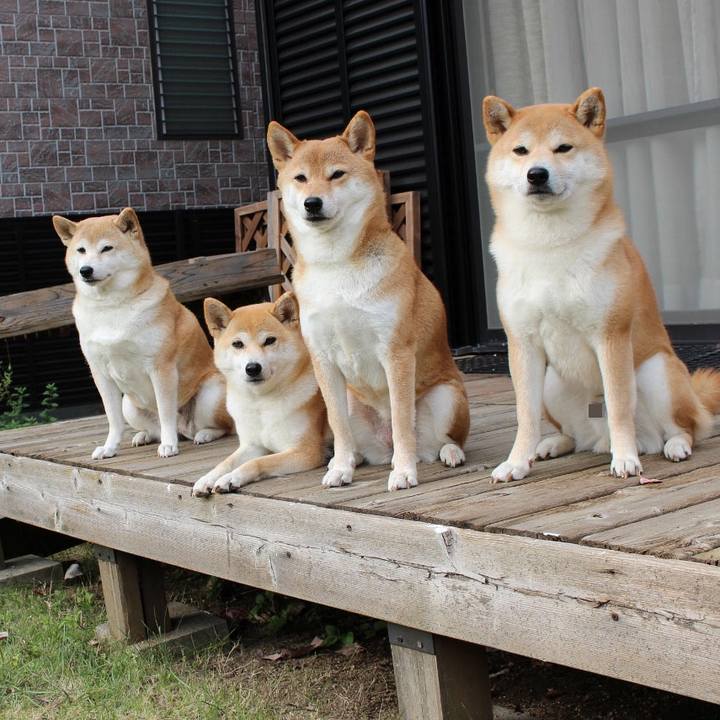 E0174384 677a 4ada a5a2 455543160a9c