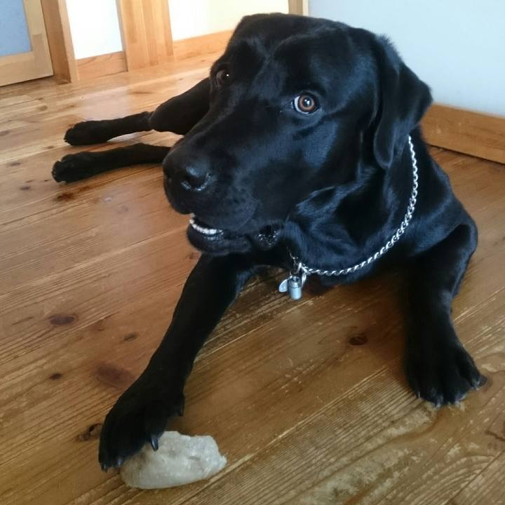 E0178d16 693b 477b b023 c26376c23755