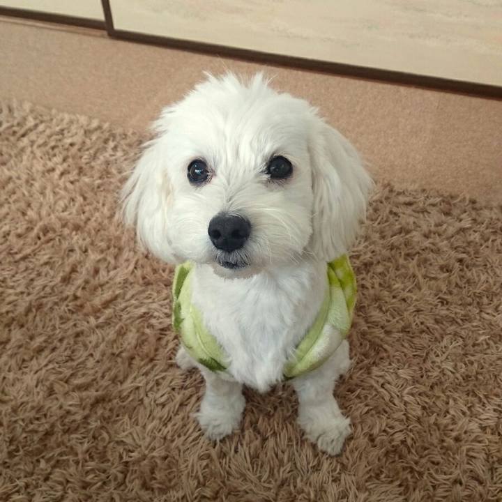 E017f330 5737 441d 92dd 23c469ec47f5