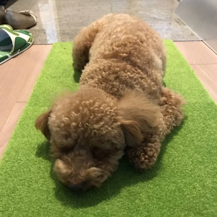 E018145c 5ecc 4ab3 907b 8e1292d80f79