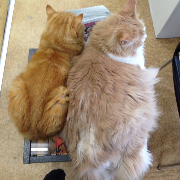 E01836df 0369 47f0 af81 1429bfcb5822