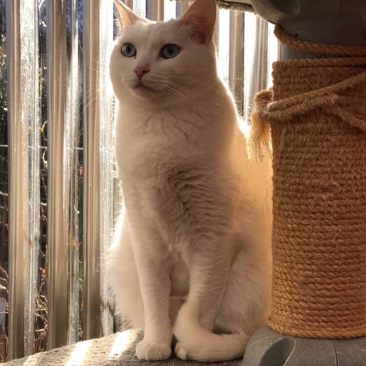 E018c2c9 7876 4f41 8d15 ebc554795d7f