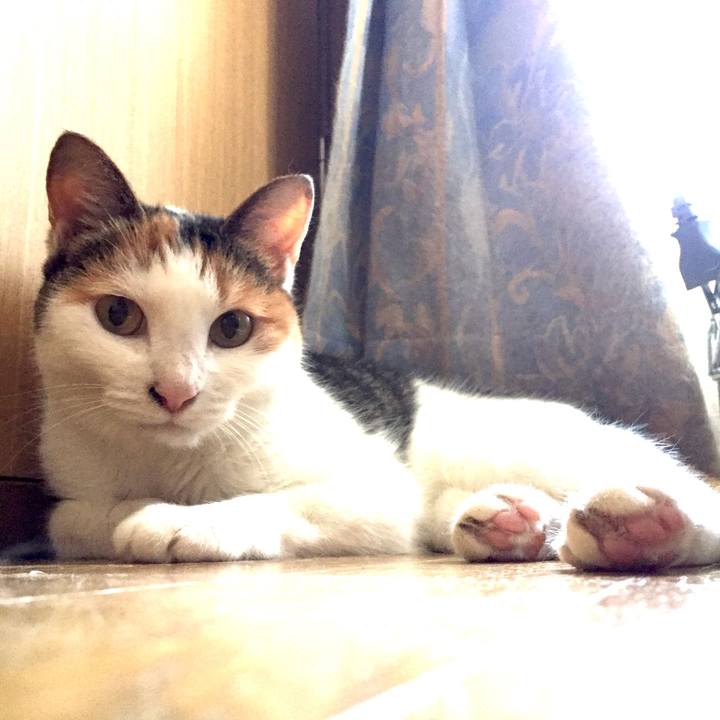 E01976ab 34c9 4328 971c 957c8d0b3796