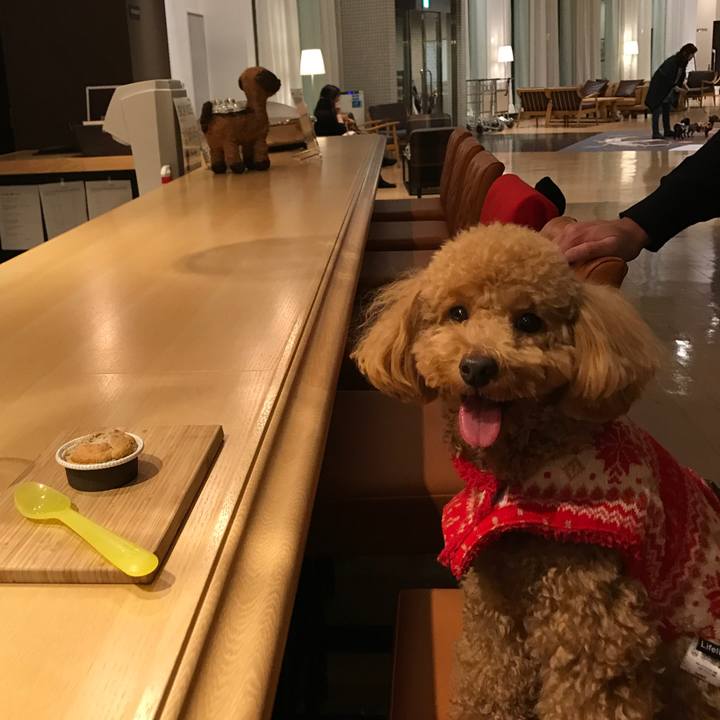 E01b61c4 9621 412b a988 a1cf5a6ea003